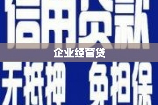 横县企业经营贷