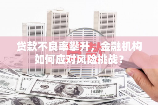 横县贷款不良率攀升，金融机构如何应对风险挑战？