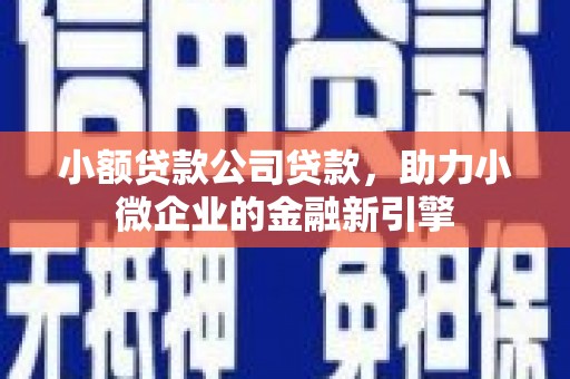 横县小额贷款公司贷款，助力小微企业的金融新引擎