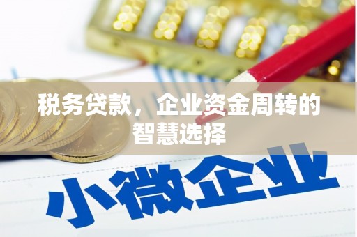 横县税务贷款，企业资金周转的智慧选择