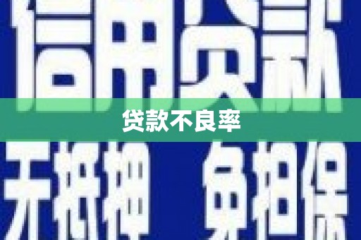 横县贷款不良率