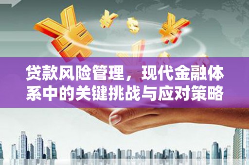 横县贷款风险管理，现代金融体系中的关键挑战与应对策略