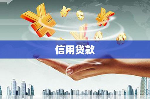 横县信用贷款