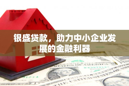 横县银盛贷款，助力中小企业发展的金融利器