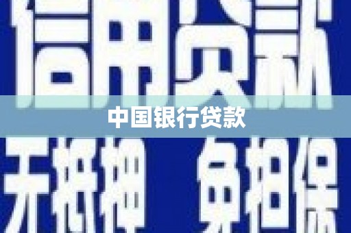 横县中国银行贷款