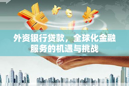 横县外资银行贷款，全球化金融服务的机遇与挑战
