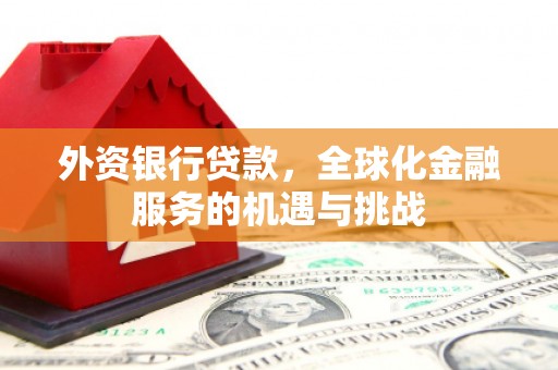 横县外资银行贷款，全球化金融服务的机遇与挑战