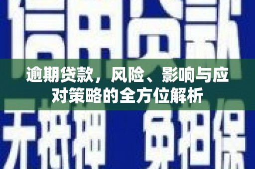 横县逾期贷款，风险、影响与应对策略的全方位解析