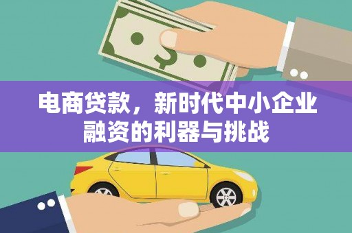 横县电商贷款，新时代中小企业融资的利器与挑战
