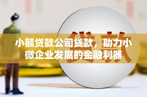 横县小额贷款公司贷款，助力小微企业发展的金融利器