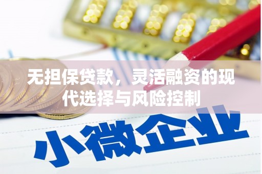 横县无担保贷款，灵活融资的现代选择与风险控制