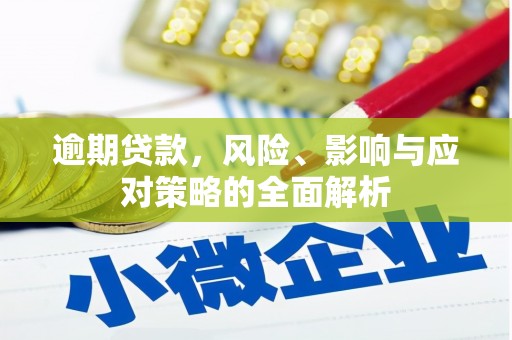 横县逾期贷款，风险、影响与应对策略的全面解析