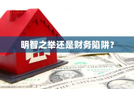横县明智之举还是财务陷阱？