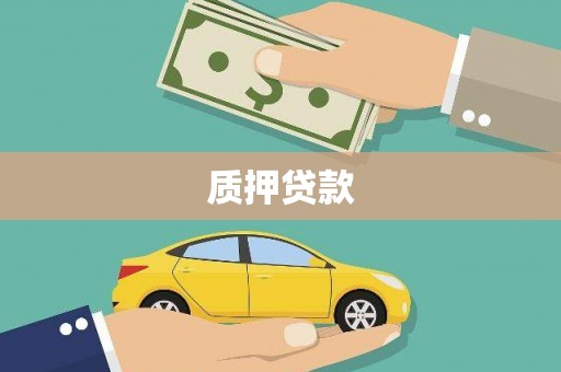 横县质押贷款
