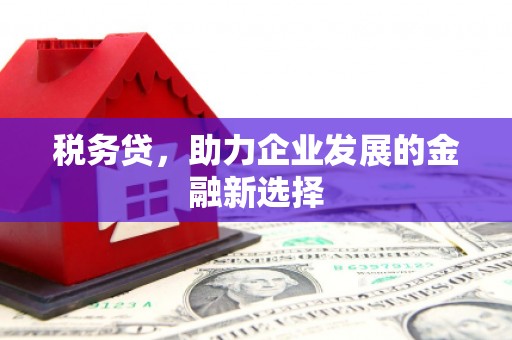 横县税务贷，助力企业发展的金融新选择