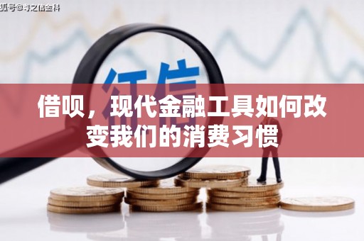 横县借呗，现代金融工具如何改变我们的消费习惯