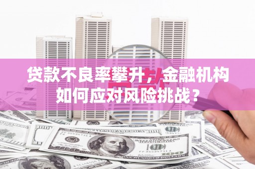 横县贷款不良率攀升，金融机构如何应对风险挑战？