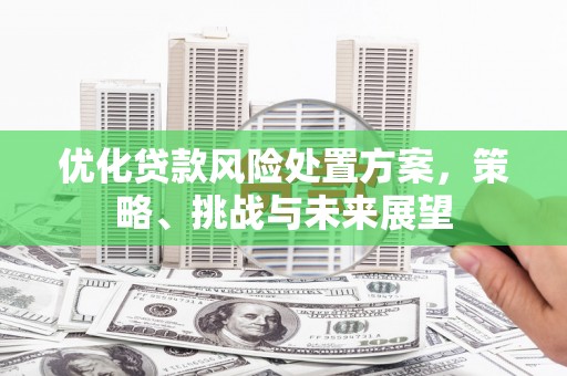 横县优化贷款风险处置方案，策略、挑战与未来展望