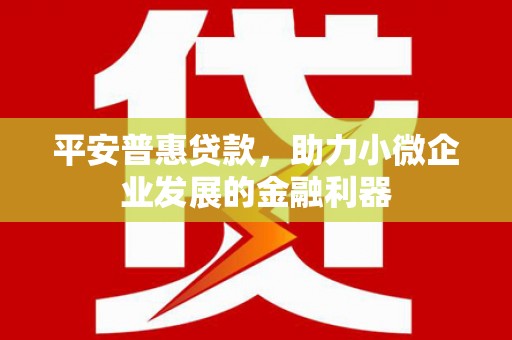 横县平安普惠贷款，助力小微企业发展的金融利器