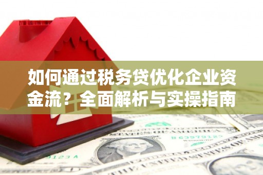 横县如何通过税务贷优化企业资金流？全面解析与实操指南