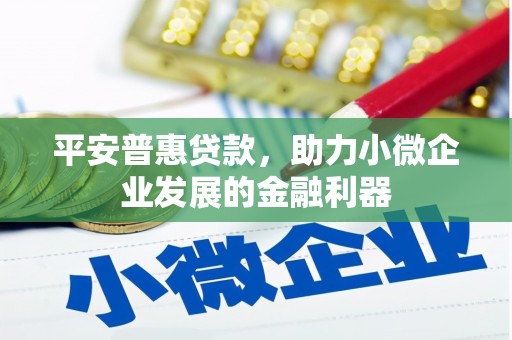 横县平安普惠贷款，助力小微企业发展的金融利器