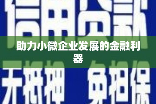 横县助力小微企业发展的金融利器
