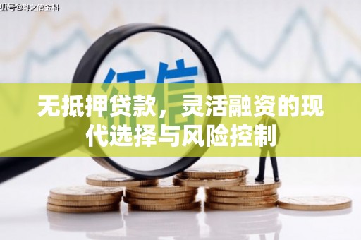 横县无抵押贷款，灵活融资的现代选择与风险控制