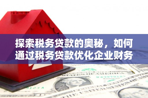 横县探索税务贷款的奥秘，如何通过税务贷款优化企业财务