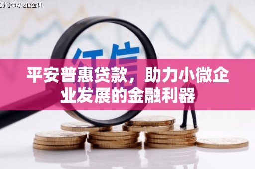 横县平安普惠贷款，助力小微企业发展的金融利器