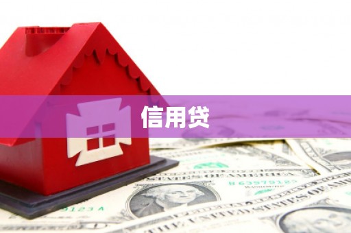横县信用贷