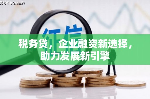 横县税务贷，企业融资新选择，助力发展新引擎