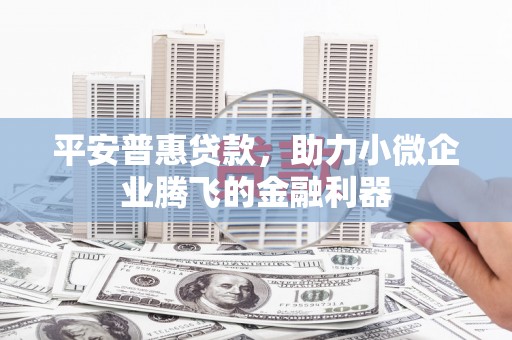横县平安普惠贷款，助力小微企业腾飞的金融利器
