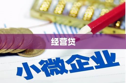 横县经营贷