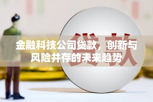 横县金融科技公司贷款，创新与风险并存的未来趋势