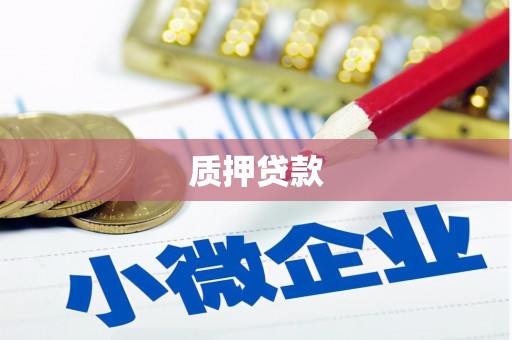 横县质押贷款