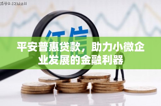横县平安普惠贷款，助力小微企业发展的金融利器