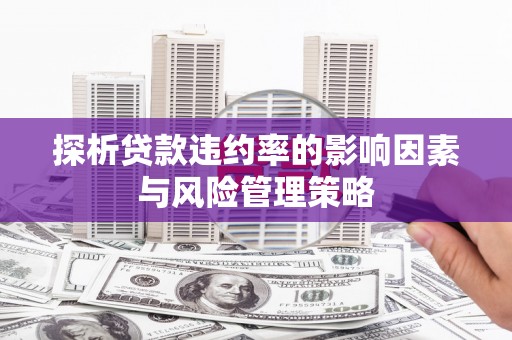 横县探析贷款违约率的影响因素与风险管理策略