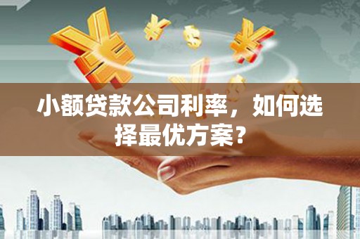 横县小额贷款公司利率，如何选择最优方案？