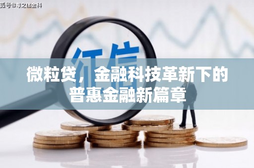 横县微粒贷，金融科技革新下的普惠金融新篇章