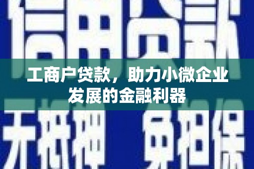 横县工商户贷款，助力小微企业发展的金融利器