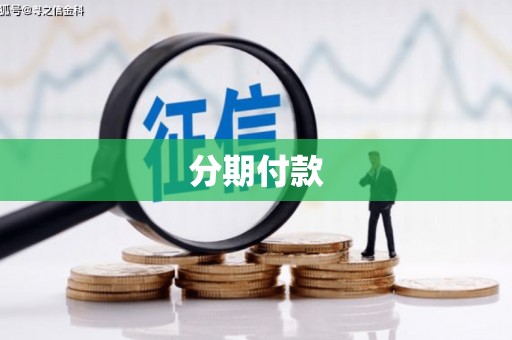 横县分期付款