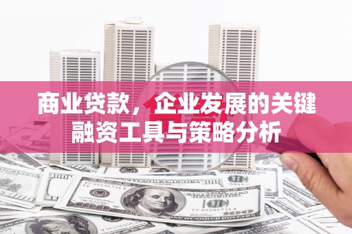 横县商业贷款，企业发展的关键融资工具与策略分析