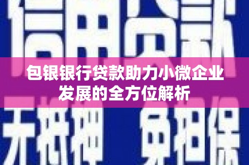 横县包银银行贷款助力小微企业发展的全方位解析