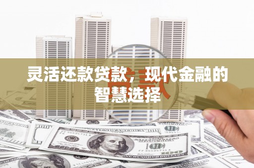 横县灵活还款贷款，现代金融的智慧选择
