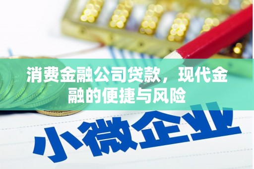 横县消费金融公司贷款，现代金融的便捷与风险