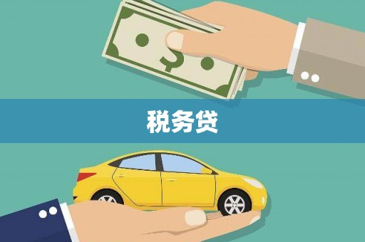 横县税务贷
