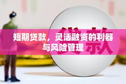 横县短期贷款，灵活融资的利器与风险管理