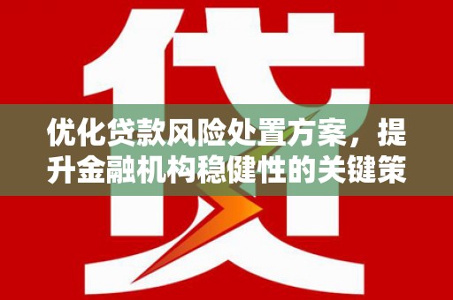 横县优化贷款风险处置方案，提升金融机构稳健性的关键策略
