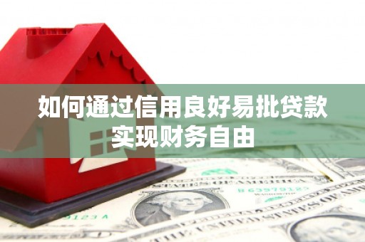 横县如何通过信用良好易批贷款实现财务自由