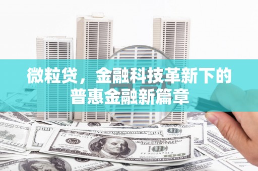 横县微粒贷，金融科技革新下的普惠金融新篇章